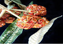 Resultado de imagen de quishuar planta